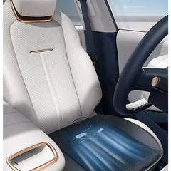 Universal Ventilated Seat Flow 3 Cooling Levels Cooling Car Seat Cushion Pad Wheelchair Cushion for Chair Home , Black