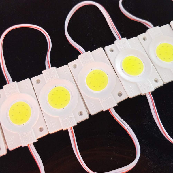 10pcs Blue 2.4W Injection COB LED Module 6000-6500K DC12V