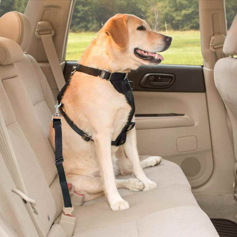 1pc Dog Seat Belt, Pet Dog Cat Car Seat belt Harness Safety - Adjustable Safety Belt Pet Leash (45-70cm)