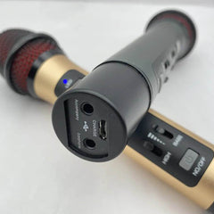 1pc Car Karaoke Single Wireless FM Handheld Microphone Rechargeable Built-In Battery Compatible All Car With FM Radio