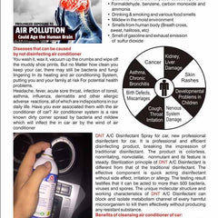 DNT Car AC Disinfectant Spray 350ml